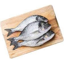 سمك دنيس مجمد